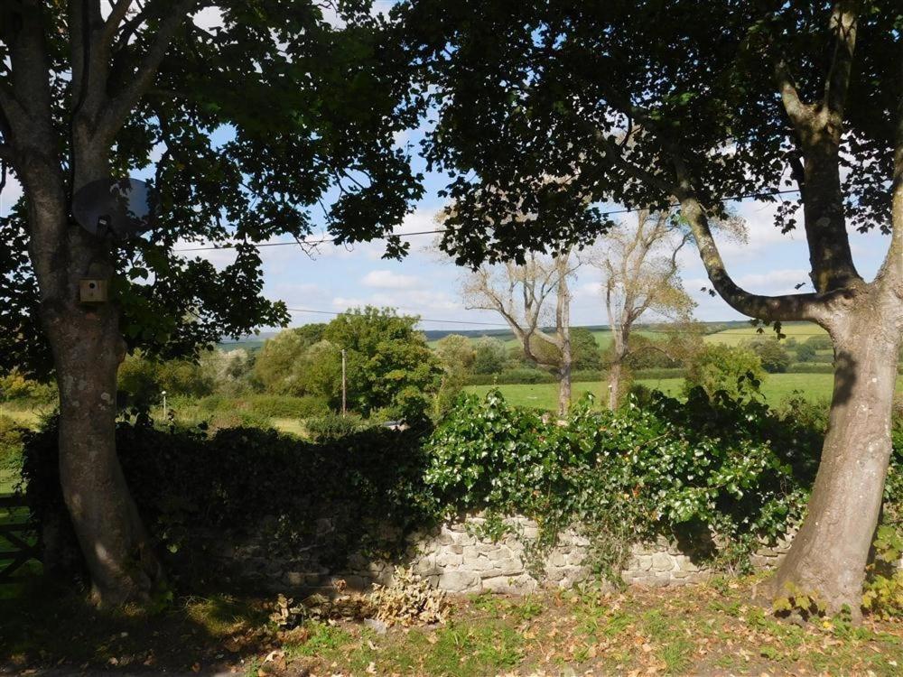 Follis Cottage Weymouth Ngoại thất bức ảnh